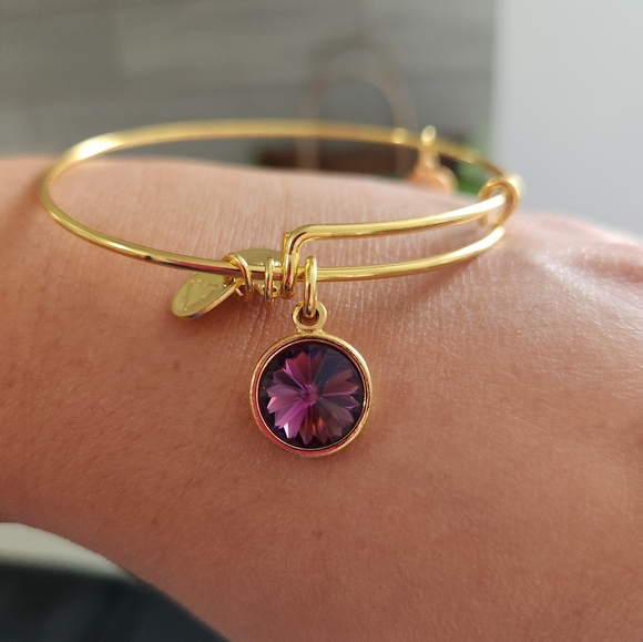 Alex and Ani Expandable Coppure Bangle Purple Stone Charm set of 2 - Picture 6 of 8